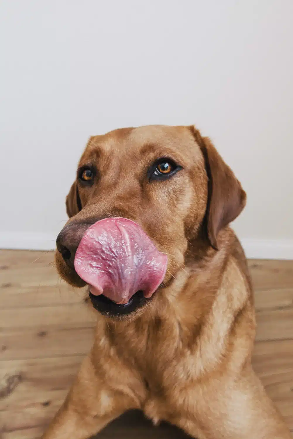  Hmm, das war lecker! 