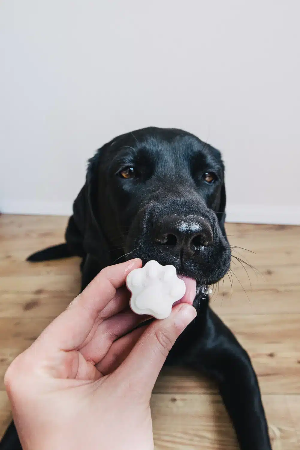  Schleck-Alarm 