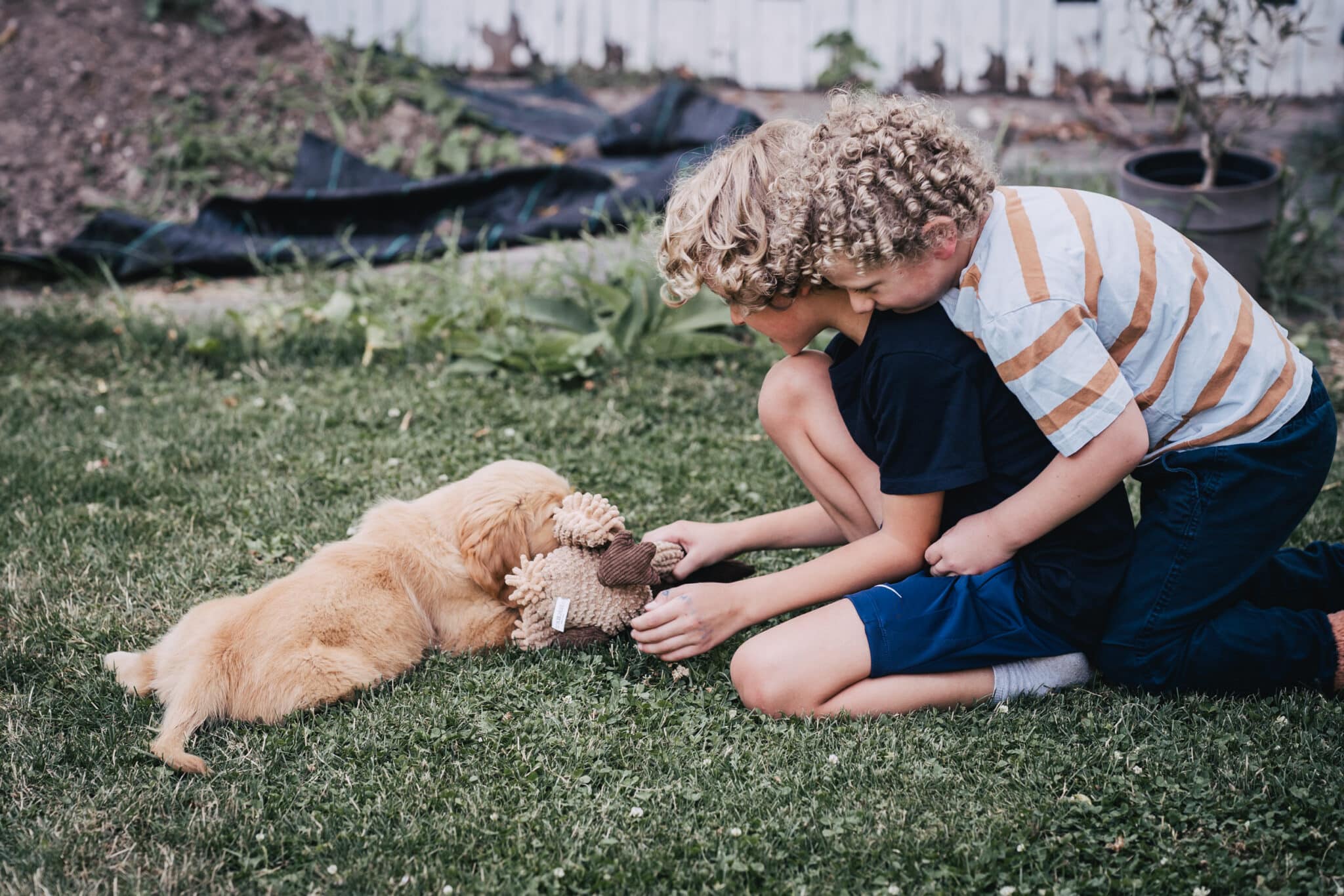 Zwei Kinder spielen im Garten mit Welpe Mia und einem Kuscheltier